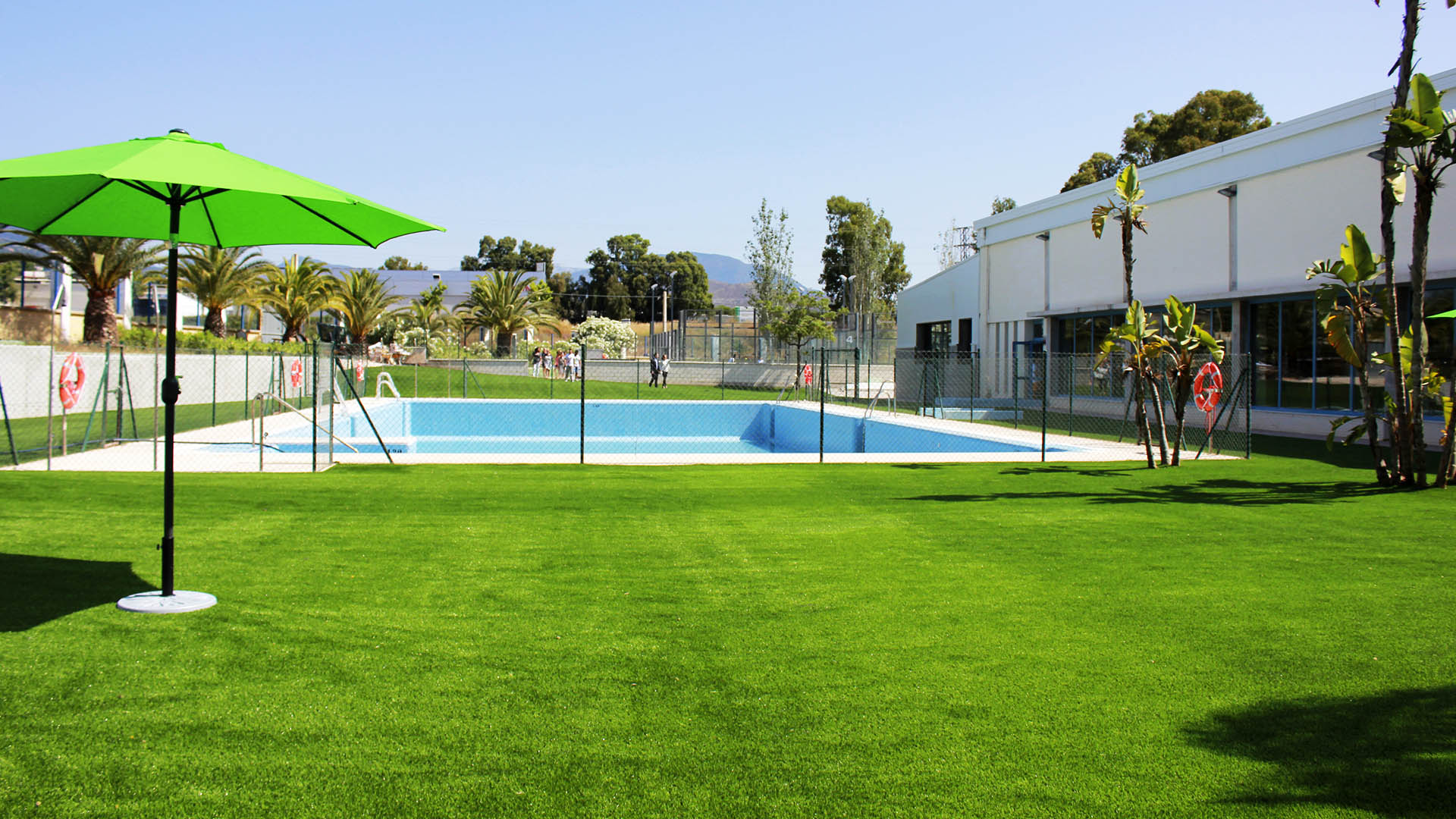 Crítica situación del Club Natación San Pedro antes del Campeonato de Andalucía