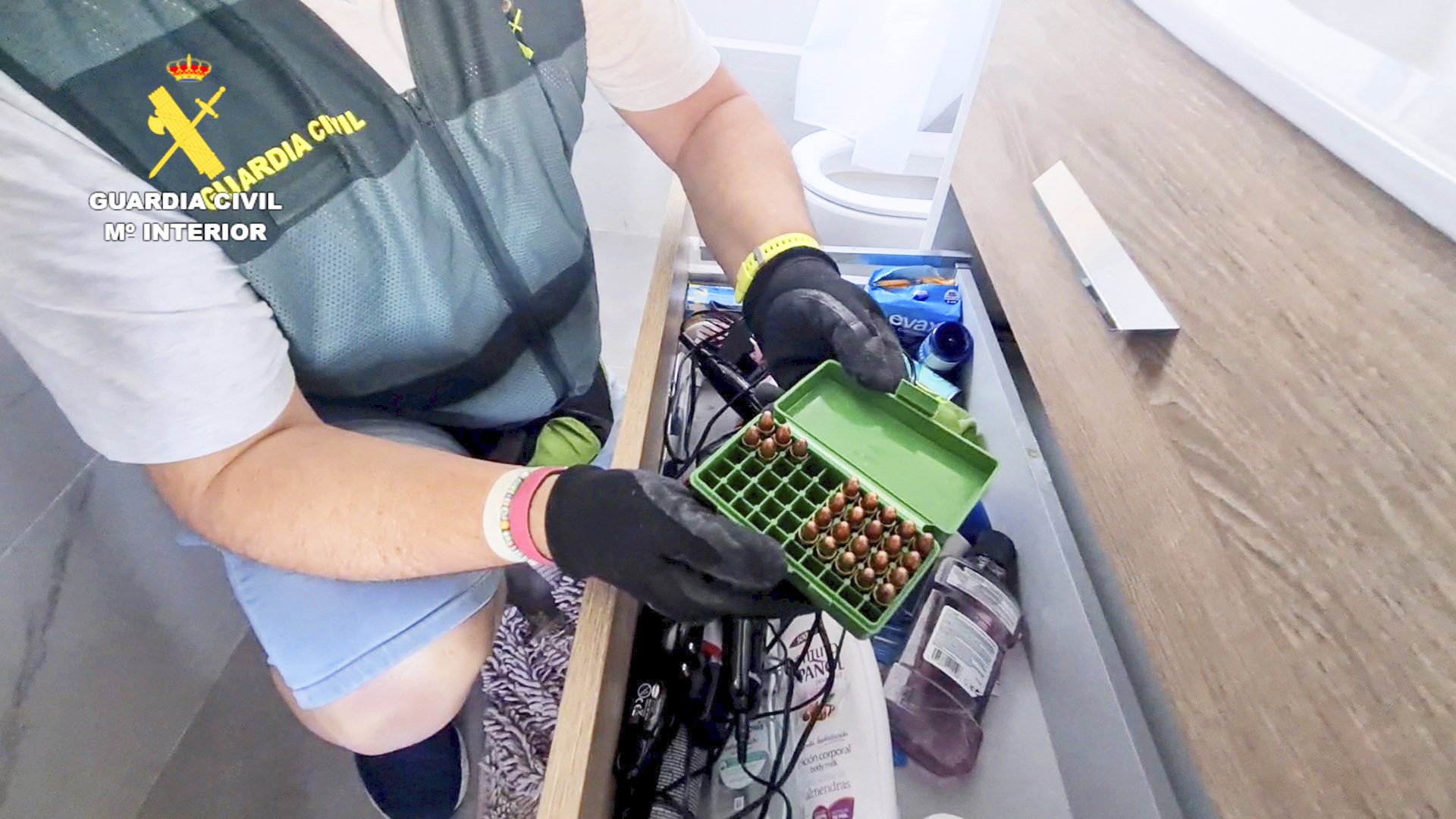 Desmantelada una nueva organización criminal en San Pedro Alcántara