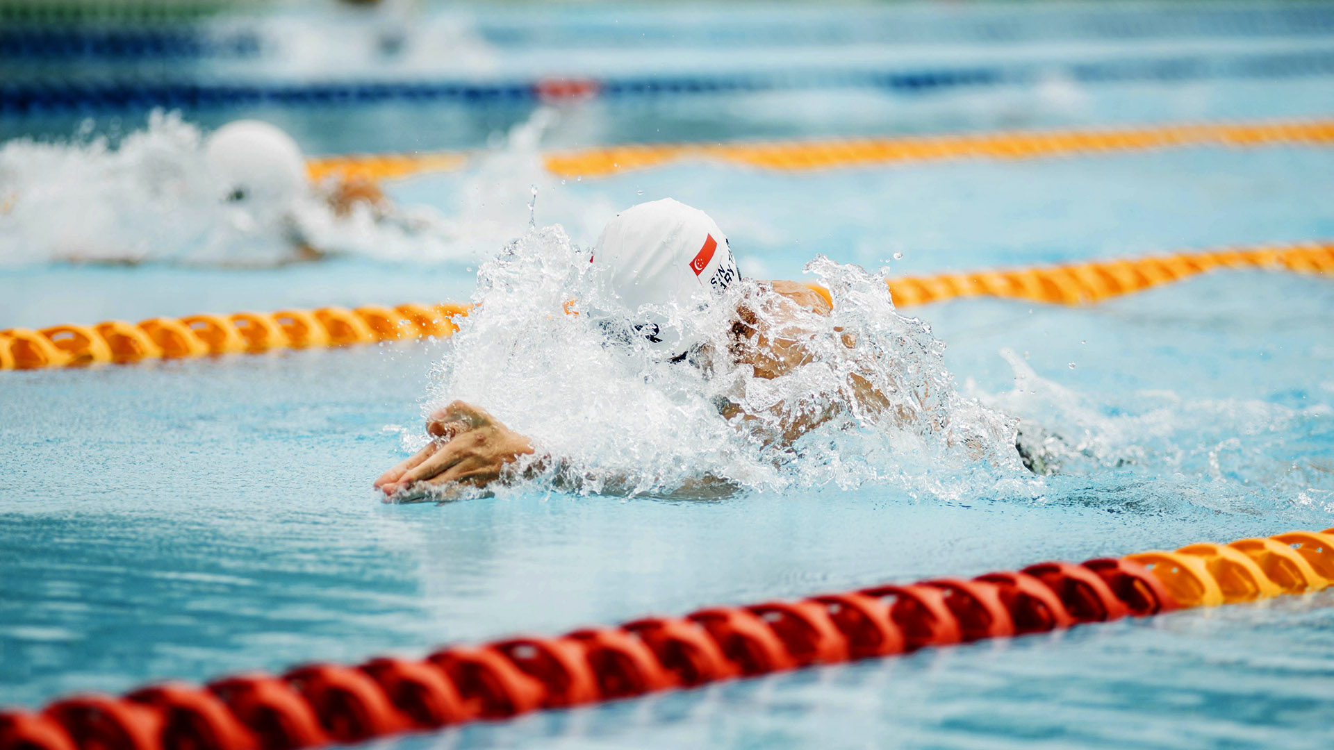 Comienza la competición para la Copa Andalucía del Club Natación San Pedro