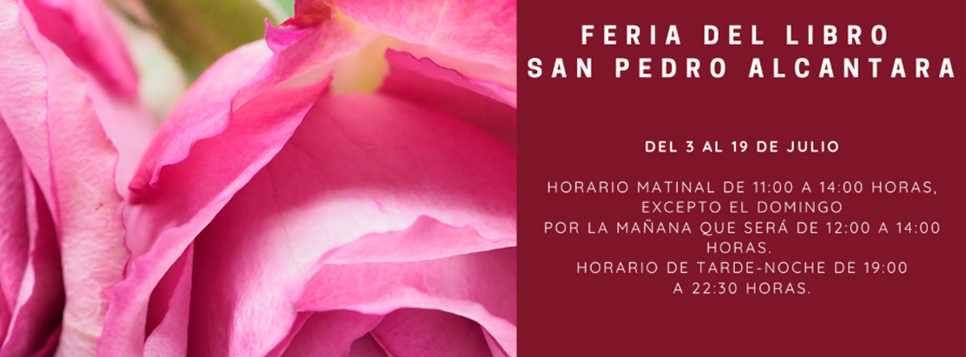 Feria del Libro de San Pedro Alcántara 2020