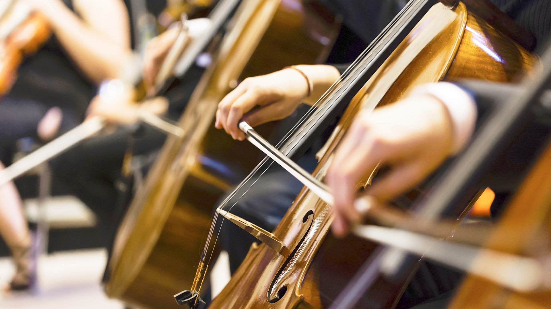 I Festival Internacional de Violonchelo San Pedro Alcántara