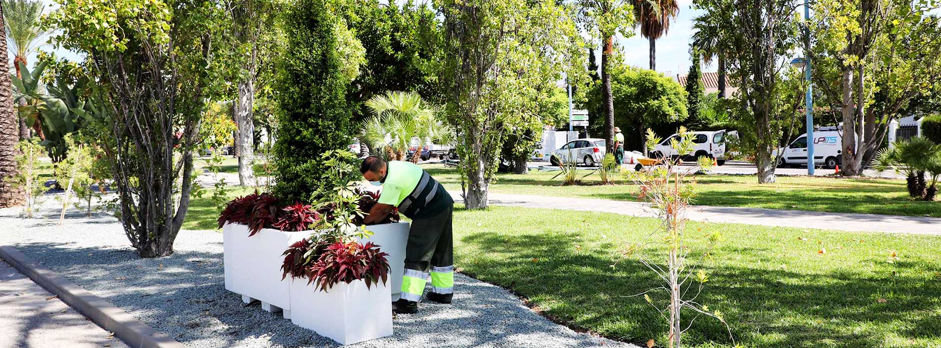 Plan de modernización para la Avenida del Mediterráneo de San Pedro Alcántara