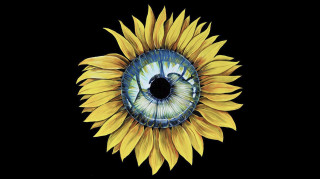 Discolandia: Novedades 2022 - T02-P24 Discolandia: Novedades 2022 - T02-P24