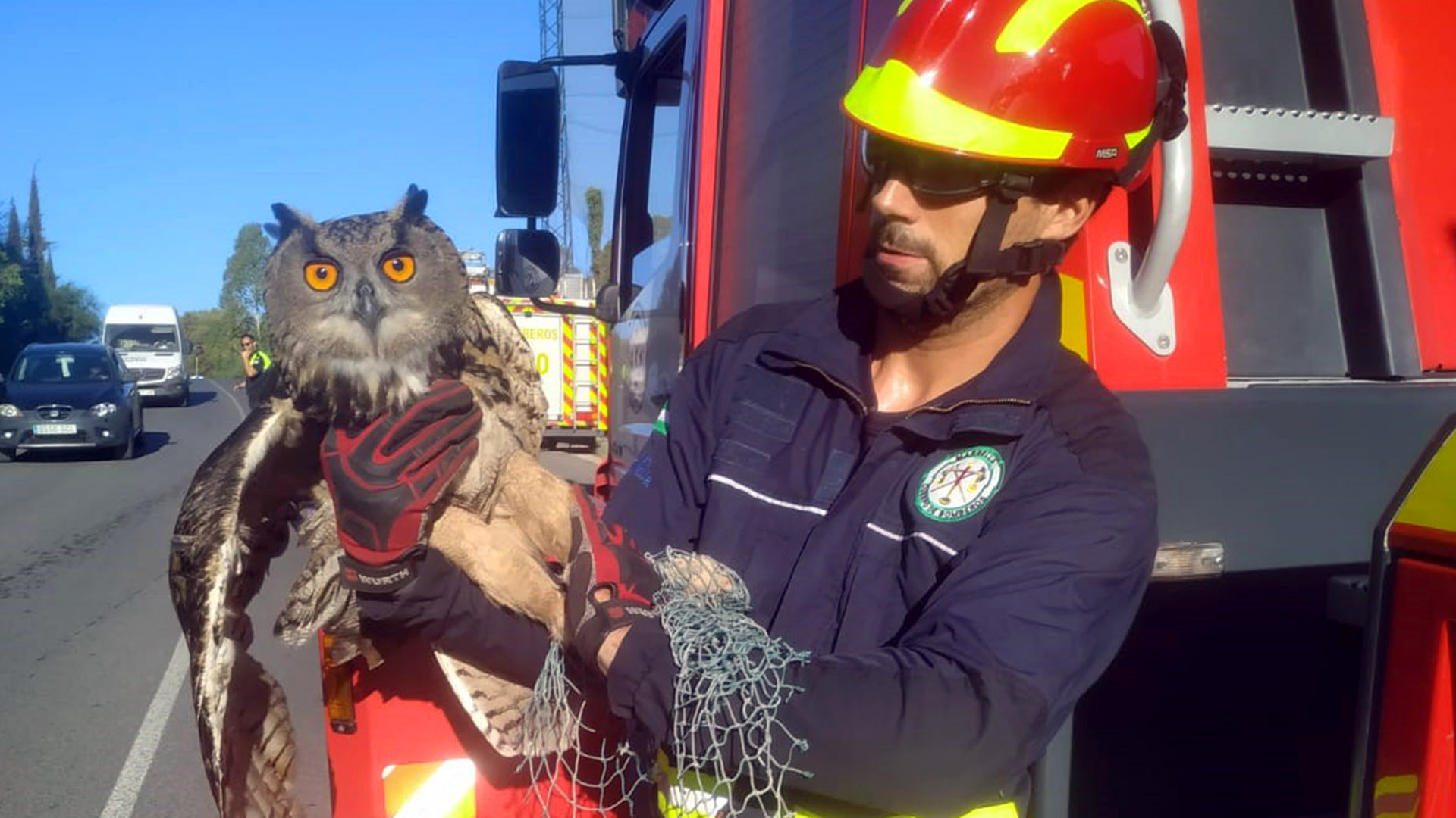 Los bomberos rescatan a un búho real atrapado en la red de protección de un campo de golf